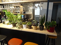 Partij kunststof planten + decoratie - afbeelding 11 van  12