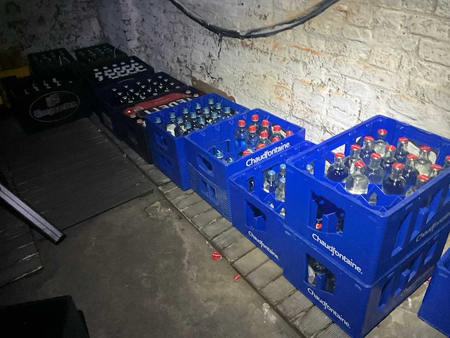 Partij leeggoed frisdranken en bieren - afbeelding 3 van  23