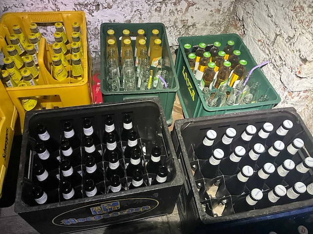Partij leeggoed frisdranken en bieren - afbeelding 6 van  23