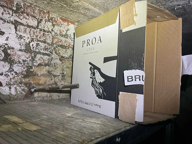 Partij leeggoed frisdranken en bieren - afbeelding 22 van  23