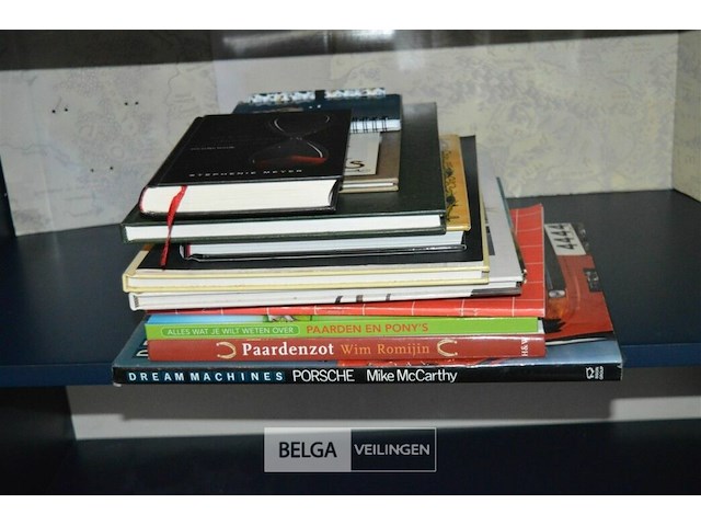 Partij leesboeken - afbeelding 1 van  3