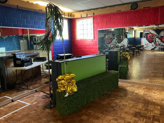Partij licht geluid electro - afbeelding 12 van  13