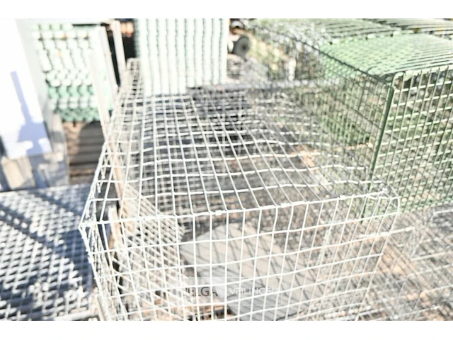 Partij metalen dierenvallen - afbeelding 3 van  5