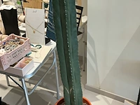 Partij meubilair en decoratie - afbeelding 3 van  11