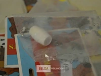Partij naamkokertjes voor halsband - afbeelding 3 van  4