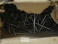 Partij nagels - afbeelding 1 van  1