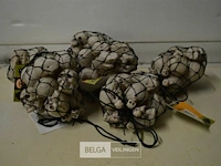 Partij netjes met skulls - afbeelding 1 van  4