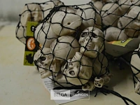 Partij netjes met skulls - afbeelding 2 van  4