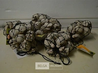 Partij netjes met skulls - afbeelding 1 van  4