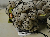 Partij netjes met skulls - afbeelding 2 van  4