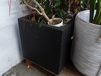 Partij planten - afbeelding 3 van  7