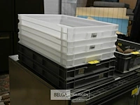 Partij plastiek bakken voor pizzabollen 60x40x7