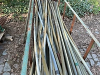 Partij pvc buizen + metalen staven voor beregening bomen. - afbeelding 5 van  5