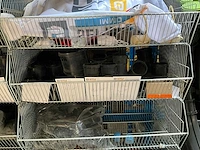 Partij rioleringskoppelstukken en buizen - afbeelding 49 van  52