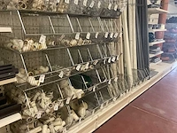 Partij sanitaire koppel en hulpstukken - afbeelding 4 van  18