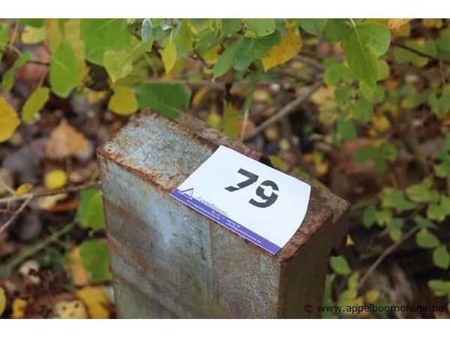 Partij stalen delen - afbeelding 1 van  7