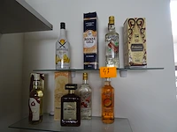 Partij sterke dranken - afbeelding 7 van  7