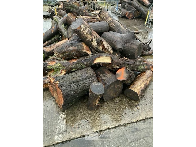 Partij stookhout ongeveer 2 a 3 kb/m - afbeelding 1 van  2