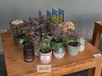Partij tafel decoratie divers - afbeelding 1 van  2