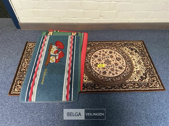 Partij tapijten en tafelonderleggers - afbeelding 1 van  4