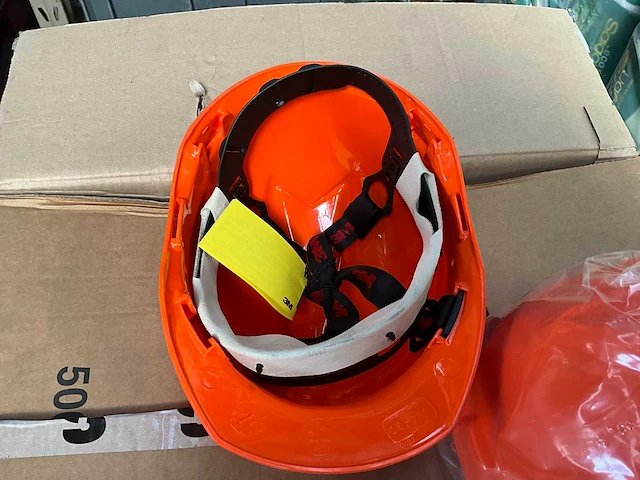 Partij veiligheidshelmen bosbouw - afbeelding 2 van  5