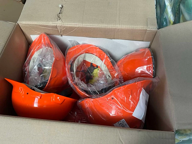 Partij veiligheidshelmen bosbouw - afbeelding 3 van  5