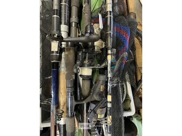 Partij visgerei - afbeelding 5 van  5