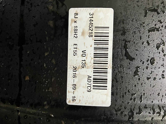 Partij volvovelgen - afbeelding 6 van  8