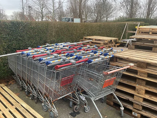 Partij winkelkarren, palletten en tuintafel - afbeelding 1 van  4