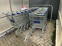 Partij winkelmandjes & karren - afbeelding 3 van  8