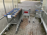 Partij winkelwagens - afbeelding 1 van  2