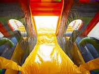 Party jump - afbeelding 3 van  9