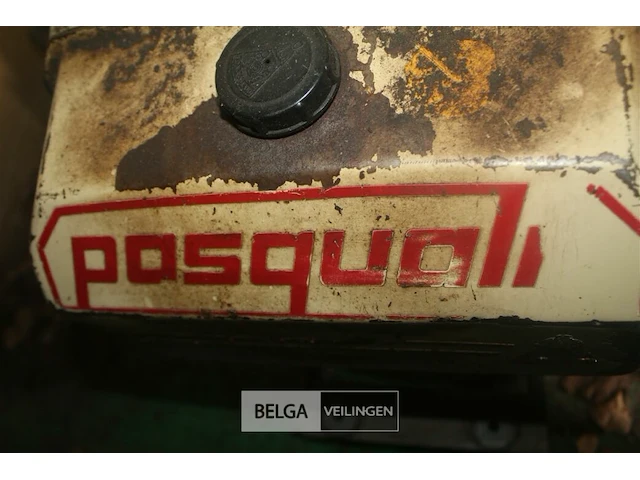 Pasquali 917 motoculteur - afbeelding 8 van  10