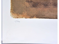 Paul deweerdt - kleurenzeefdruk - 1/130 - afbeelding 4 van  6