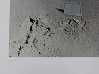 Paul van hoeydonck - fallen astronaut - afbeelding 2 van  3