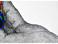 Paul van hoeydonck - zeefdruk - afbeelding 7 van  7