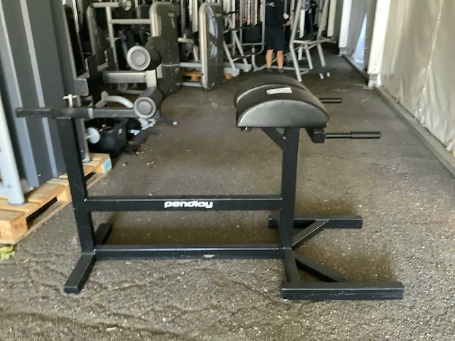 Pendlay ghd bench krachtstation - afbeelding 1 van  5