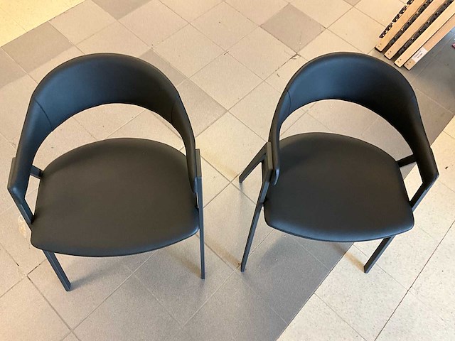 Perfecta arca eetkamerstoel (2x) - afbeelding 9 van  9