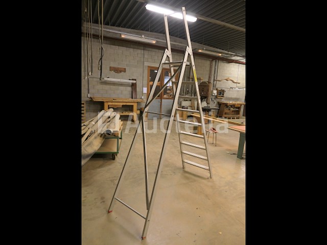 Perfecty ladder met 9 treden - afbeelding 6 van  6