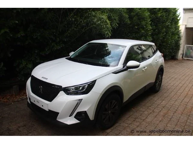 Personenwagen peugeot 2008, benzine, 1199cm³, 74kw, 1e inschr 25/02/2021, vr3ushnkkmj592077, 20116km, co²-uitstoot ng, euro6ap, spaans kenteken, gelijkvormigheidsattest, 2 sleutels - afbeelding 1 van  12