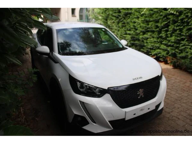 Personenwagen peugeot 2008, benzine, 1199cm³, 74kw, 1e inschr 25/02/2021, vr3ushnkkmj592077, 20116km, co²-uitstoot ng, euro6ap, spaans kenteken, gelijkvormigheidsattest, 2 sleutels - afbeelding 6 van  12