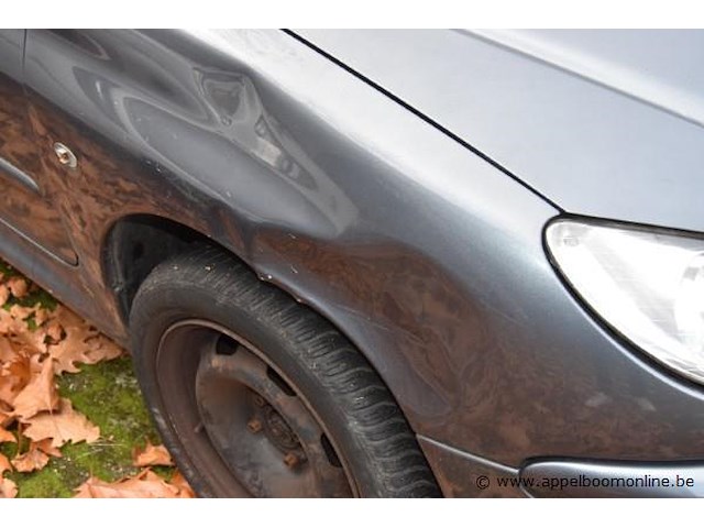 Personenwagen peugeot, 206, datum eerste insch 04/01/2006, vf32jnfua44954166, km stand ngk, 1587cm³, 80kw, euro 4, benzine - afbeelding 2 van  10