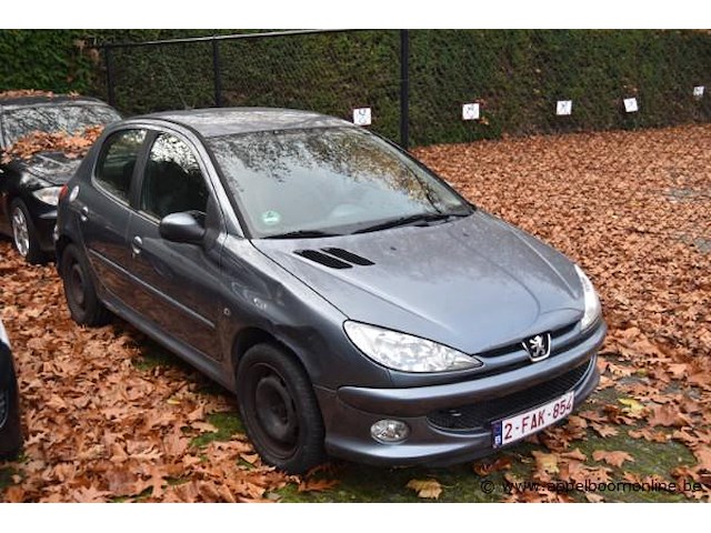 Personenwagen peugeot, 206, datum eerste insch 04/01/2006, vf32jnfua44954166, km stand ngk, 1587cm³, 80kw, euro 4, benzine - afbeelding 1 van  10