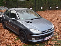 Personenwagen peugeot, 206, datum eerste insch 04/01/2006, vf32jnfua44954166, km stand ngk, 1587cm³, 80kw, euro 4, benzine