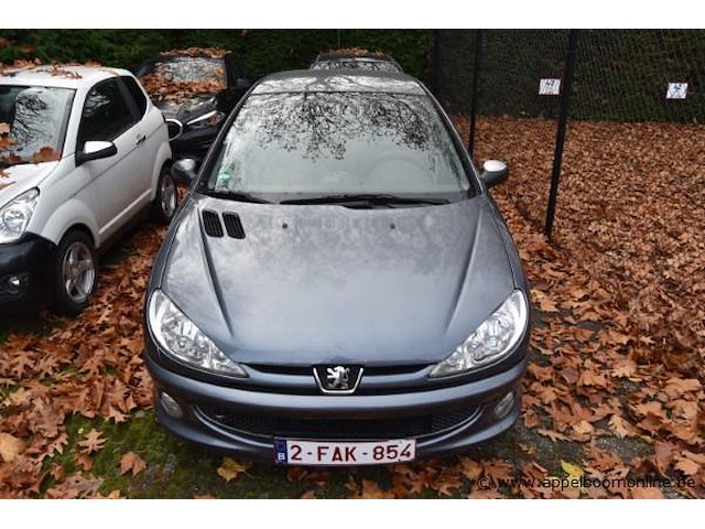 Personenwagen peugeot, 206, datum eerste insch 04/01/2006, vf32jnfua44954166, km stand ngk, 1587cm³, 80kw, euro 4, benzine - afbeelding 7 van  10