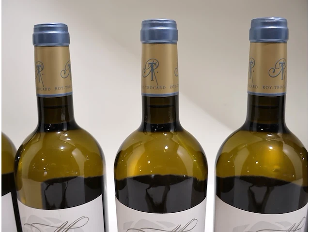 Pessac-léognan chât. mancèdre 2018 (x12) - afbeelding 9 van  10