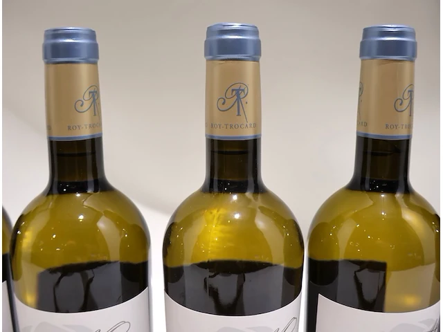 Pessac-léognan chât. mancèdre 2018 (x12) - afbeelding 10 van  10