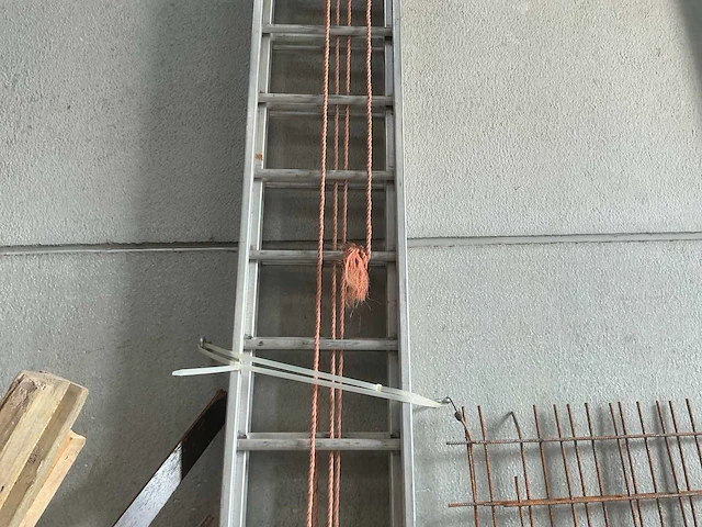 Petry ss03 ladder - afbeelding 2 van  6