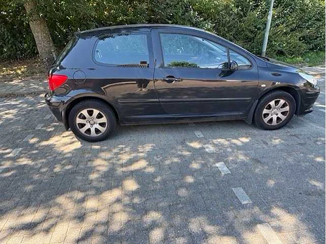 Peugeot - 307 - 1.6-16v premium - car - 2007 - afbeelding 1 van  20