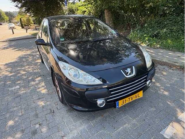 Peugeot - 307 - 1.6-16v premium - car - 2007 - afbeelding 18 van  20